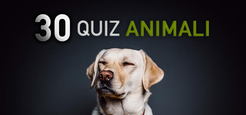 30 Quiz Sugli Animali Per Bambini E Ragazzi Animatamente