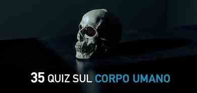 35 QUIZ sul corpo umano