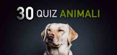 30 QUIZ sugli animali per bambini e ragazzi