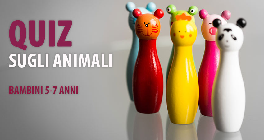 Quiz dos animais - 5-7 anos, 8-12 anos, Brinquedos, Jogos e plasticinas -  Bazar33