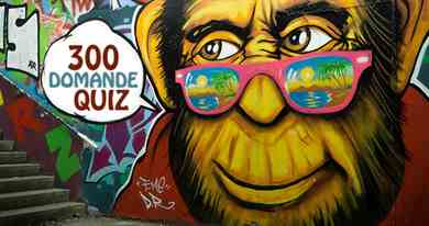 300 Domande quiz