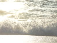 Onde del mare