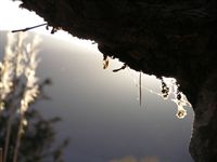 Ombra e luce