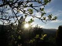 Raggi di sole